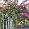 Villa Sea Rose