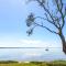 Foreshore Delight