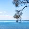 Foreshore Delight