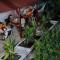 Magic Jardín Hostel - Patio, Balcony & Rooftop