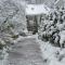 FOREST RETREAT Luxury Villas
