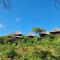 MONKEY MOUNTAIN LODGE