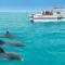 Bungalows Beach Key West - Azucar - Key West