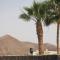 Luxury Canarian villa with large pool in Costa Teguise