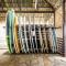 Buena Vista Surf Club