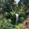ROMATIC WATERFALL CABIN in the Rainforest - Honokaa