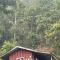 Forest Guesthouse