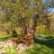 Stunning Home In Gospic With Wifi