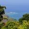 Kaawa Loa Plantation