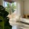 LA RESERVE DESIGN VILLAS BEIJA-FLOR e IPANEMA