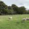Country Retreats on Ranzau 8