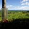 Finca Colibri