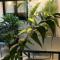 Charcas Suites Palermo Soho
