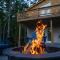 The Wilderness Cabin - Shenandoah Getaway - HotTub, Arcade, RiverAccess - Shenandoah