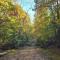 Charming enclave Luxury tent in the woods Tent 3 Bambi's playground - لينوير