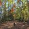 Charming enclave Luxury tent in the woods Tent 3 Bambi's playground - لينوير