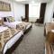Afyon Grand Arı Hotel - 阿菲永