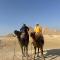 2 Jana Pyramids view inn - El Cairo