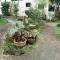 Faye Orchid Garden Resort