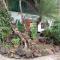 Faye Orchid Garden Resort