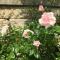 Little Hideaway - Central Frome - 弗罗姆