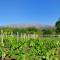 Finca Cielo Verde