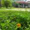 Angels homestay Marari