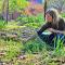 Living Land, a magical Permaculture Farm - De Rust Living Land, a magical Permaculture Farm - De Rust