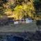 Bellbird Rise Off-Grid Cottage