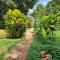 Kiwavi Home