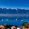 View Magnifique Lac Léman - Chardonne