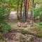 White Mountain Retreat with Theater, Fire Pit, Game Room and River Access - 伍德斯托克