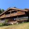 Chalet mitoyen 3 étoiles à La Clusaz, 500m des pistes, 10 pers, terrasse, cheminée, garage, WiFi - FR-1-459-186