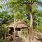 Tanna Lava View Bungalows