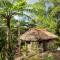Tanna Lava View Bungalows
