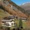 Alfenalm - Ferienwohnungen am Berg - Giatla Haus - Innervillgraten