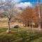 Vila Sun forest