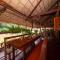 River Kwai Jungle Rafts - Sai Yok