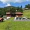 Chalet du Pommery, Hautes-Vosges - 比桑 Chalet du Pommery, Hautes-Vosges - 比桑