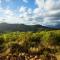 Le Petit Karoo Ranch