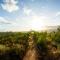 Le Petit Karoo Ranch