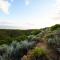Le Petit Karoo Ranch