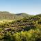 Le Petit Karoo Ranch