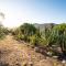 Le Petit Karoo Ranch