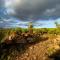 Le Petit Karoo Ranch