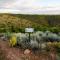 Le Petit Karoo Ranch