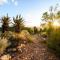 Le Petit Karoo Ranch