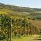 Nice Apartment In Santo Stefano Belbo