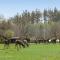 Holiday Home Haderslev 25