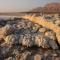 Foto: Dead Sea Rooms Neve Zohar 22/74